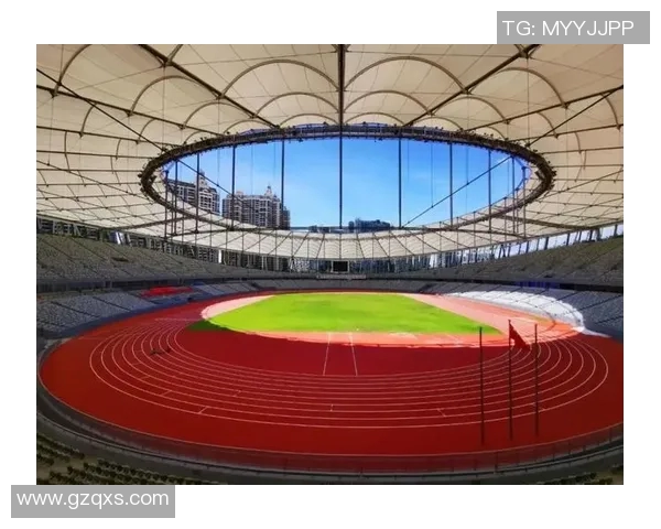 深圳网球队在钻石联赛中的拼搏历程与荣耀时刻回顾