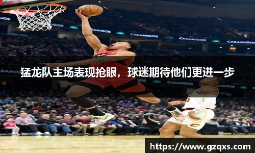 猛龙队主场表现抢眼，球迷期待他们更进一步